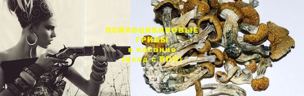 герыч Корсаков