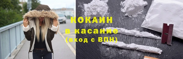 стафф Вяземский