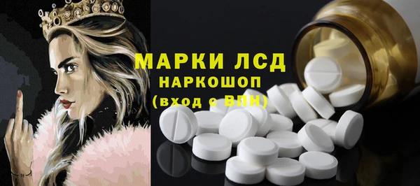стафф Вяземский