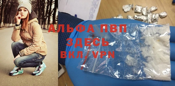 стафф Вяземский