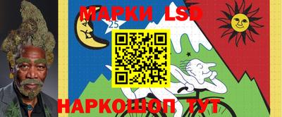 тгк Камышлов