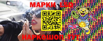 apvp Канаш