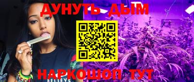 apvp Канаш