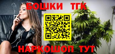 тгк Камышлов