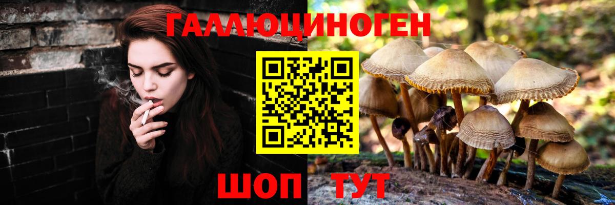 Псилоцибиновые грибы мухоморы  Галлюциногенные грибы мицелий  Вход с VPN  даркнет сайт  Муром 